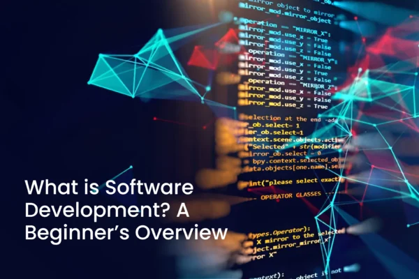 What is Software Development A Beginner’s Overview
