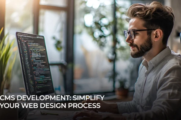 CMS Development Web Design Process